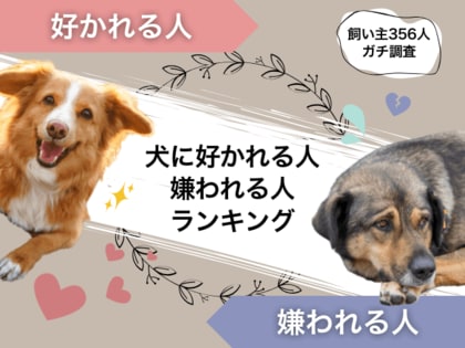 【飼い主356人に調査】犬に好かれる人・嫌われる人ランキング!モテるポイントは“ちょうどいい距離感”!