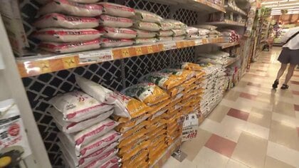 米5キロあたり3842円　前週より41円値下がり　在庫は約1.5倍となる277万トンに　直近10年で最も多い水準