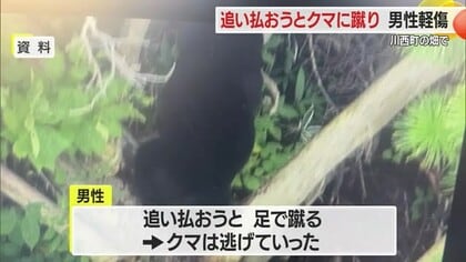 ＜クマ出没＞クマを追い払おうと足蹴り・68歳男性がケガ　山形・川西町