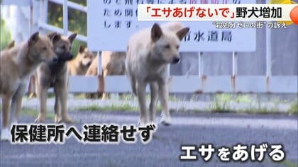 「エサを与えないで」野犬の捕獲数が増加し…住民に被害も　7年連続“殺処分ゼロ”の街が訴え　岡山市