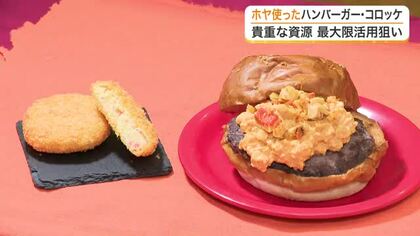 温暖化で水揚げ激減の「ホヤ」を最大限に活用　地元企業が連携し開発したハンバーガーなどの新商品〈仙台〉