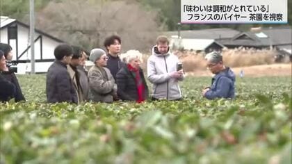 おいしい県産茶を世界へ　フランスのバイヤーが茶園を視察