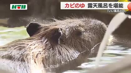 「いい風呂の日」に動物園で極楽気分!カピバラ専用の露天風呂がオープン 至福の表情に来場者もほっこり