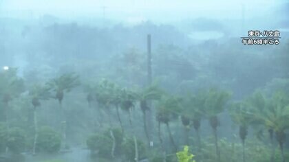 台風22・23号相次ぎ接近した八丈島で断水・停電続く　一連の台風で倒木などの被害も