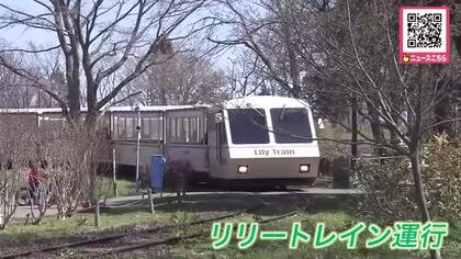 百合が原公園“リリートレイン”運行開始「楽しかった！天気がいい」「色々なものが見られて面白かった」園内を一周し春らしい景色で来園者にぎわう_世界の庭園が楽しめるエリアもオープン〈北海道札幌市〉