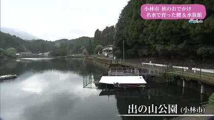 【トレリン】秋のお出かけ「小林市・出の山公園　鯉料理＆水族館」