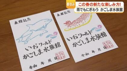 かごしま水族館、ジンベエ育成アプリ＆「魚朱印」で家族連れに新体験