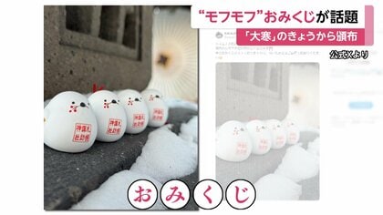札幌市の神社で“シマエナガおみくじ”頒布スタート！きょう限定の御朱印