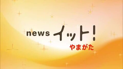 定期船とびしま故障・運休…24日以降の代行船準備進める・29日の野鳥観察イベントは中止　山形・酒田市