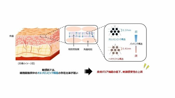 イリア 敏感肌 スキンプロテクタントクリーム 肌バリア機能保護 楽天市場】【ニキビケア】スキン バリア リカバリー 131クリーム