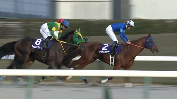 チャンピオンズカップ】レモンポップ史上2頭目の連覇達成