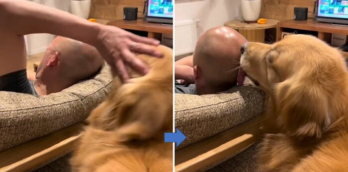押しのけられても…めげない!
