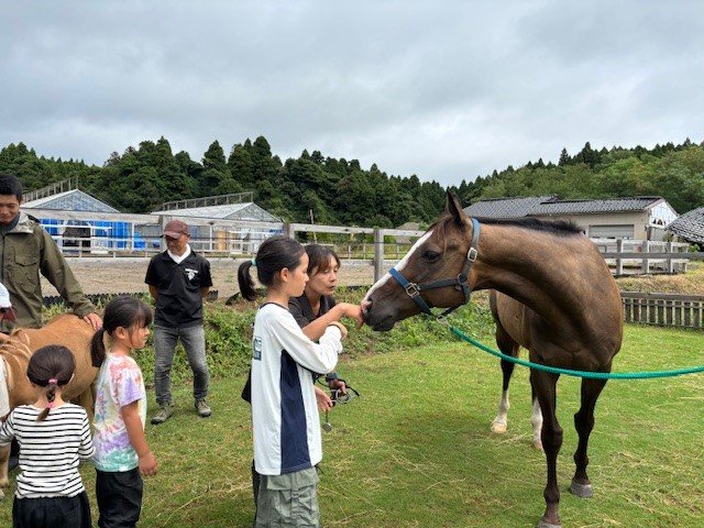 珠洲ホースパークで馬の命を考えた