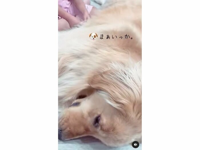 提供:西村 まひろさん