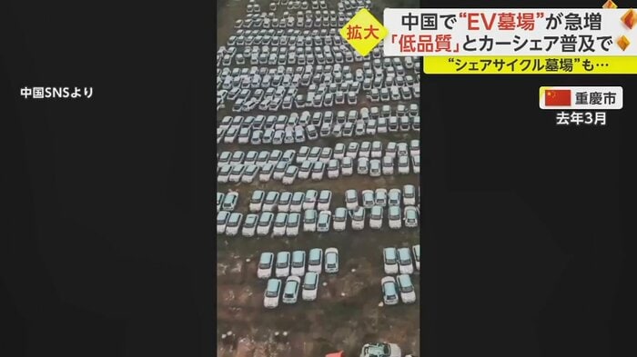敷地を埋め尽くすEVの屋根はすべて水色