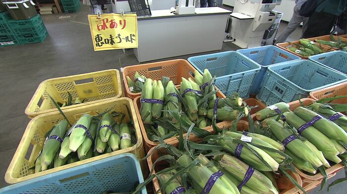 虫食い部分を取り除いたトウモロコシが「訳あり品」として売られている