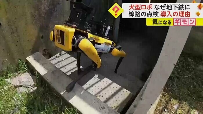 階段を下りていく犬型ロボット