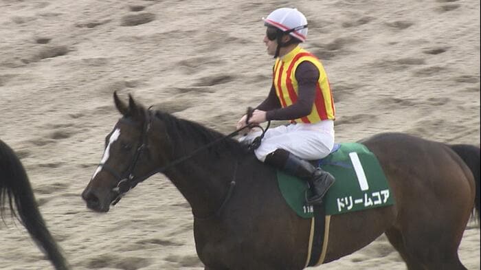 ドリームコアも「キャリア3戦」に当てはまらず