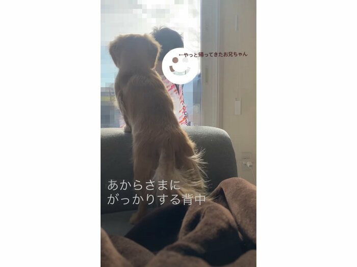 提供:___0516.wanさん
