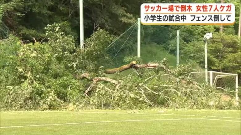 「異変に気づいた保護者の声かけがなかったら…」小学生のサッカー試合中に倒木　観戦していた幼児や保護者など女性7人ケガ｜FNNプライムオンライン