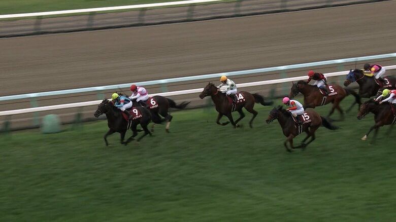 【豪華メンバー集結　札幌記念・G２】　10年目・横山武史騎手　相性抜群の札幌競馬場で札幌記念制覇なるか｜FNNプライムオンライン