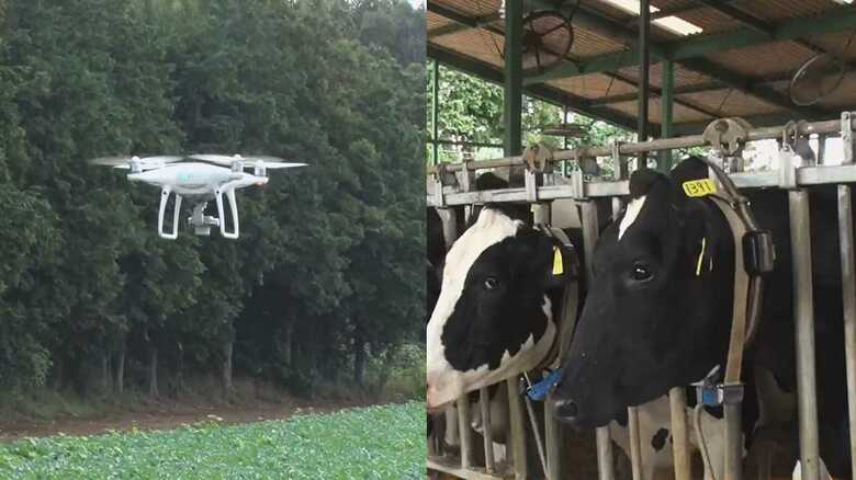 ロボットやAIで無人化「スマート農業」で効率化・収益アップ！ 収穫の秋が激変中
