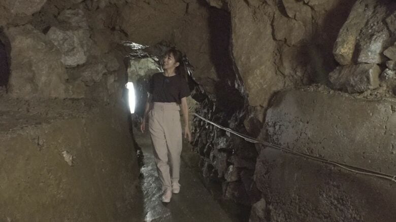 誕生は1万年以上前…「関ヶ原鍾乳洞」　全長約500mで年間通して洞内は約15度【岐阜発】｜FNNプライムオンライン