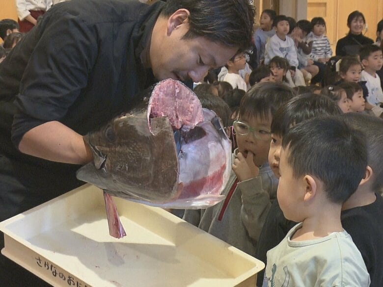命をいただくことの大切さ学ぶ…幼稚園で本マグロの解体ショー 手際よくさばかれた後は園児たち全員の給食に｜FNNプライムオンライン