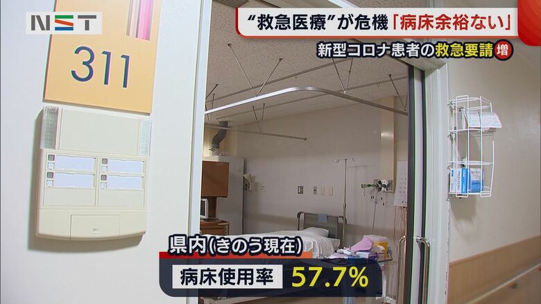 新潟県内の病床使用率(8月1日現在)