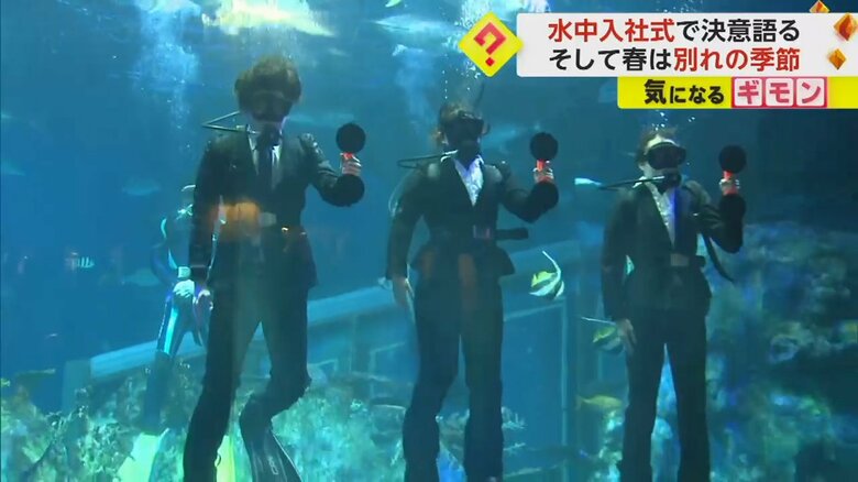 リクルートスーツ姿の3人が水槽の中に入っている