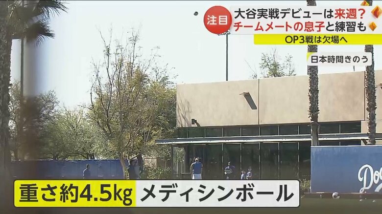 重さ4.5kgのメディシンボールを8メートルの高さまで投げるトレーニング