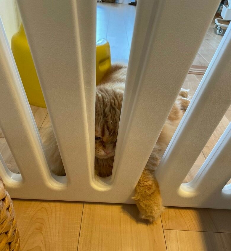 どうしても娘さんのそばにいたいよう