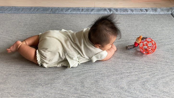 提供：りらさん