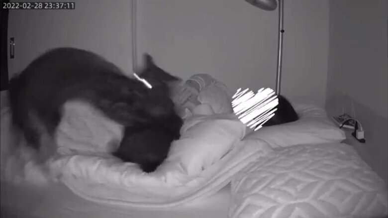 ある日はじゃれあいで布団に直撃