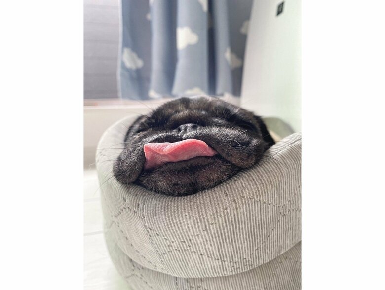 提供：ボンさん