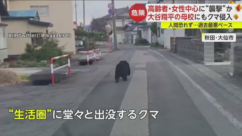（秋田・大仙市　10月14日）