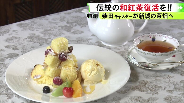 ニュースONE