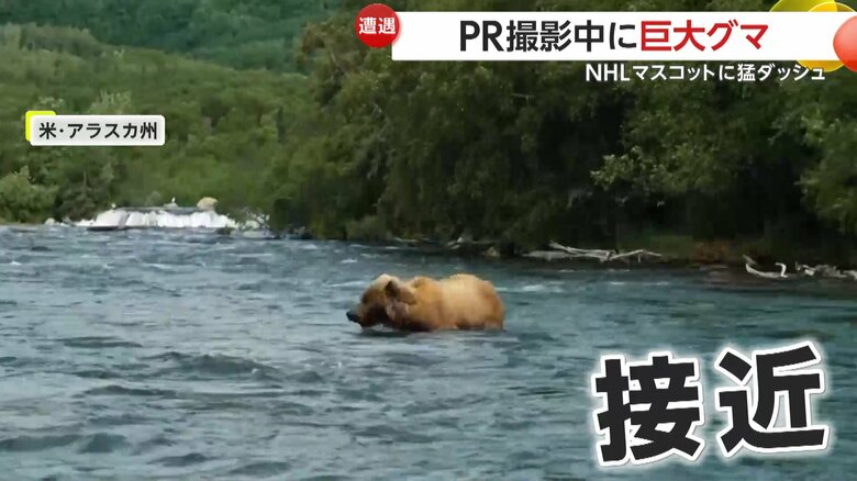 撮影者に接近してきたクマ