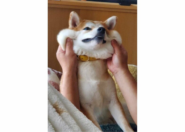 ムニムニ（提供：あおとはなさん）