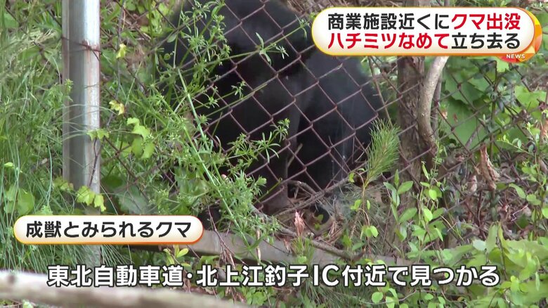 7時間にわたり住宅や商業施設近くにとどまった