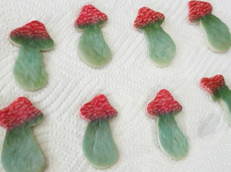 ※ベニテングダケの見た目と味に変えたエリンギ（画像提供：明治大学宮下芳明教授）