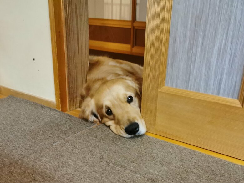 提供：ふぉるてさん