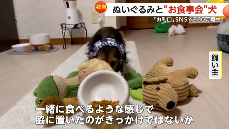 2年ほど前からぬいぐるみのお友達を連れてお食事会をするようになったるのんくん