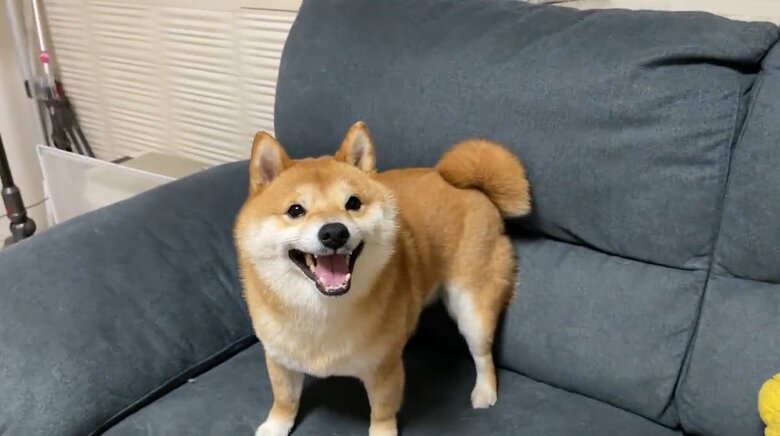 提供：うにandおからさん