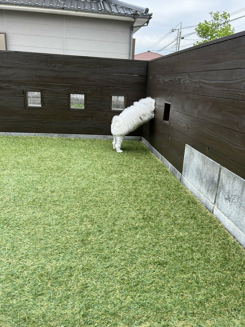 （画像：飼い主さん提供）