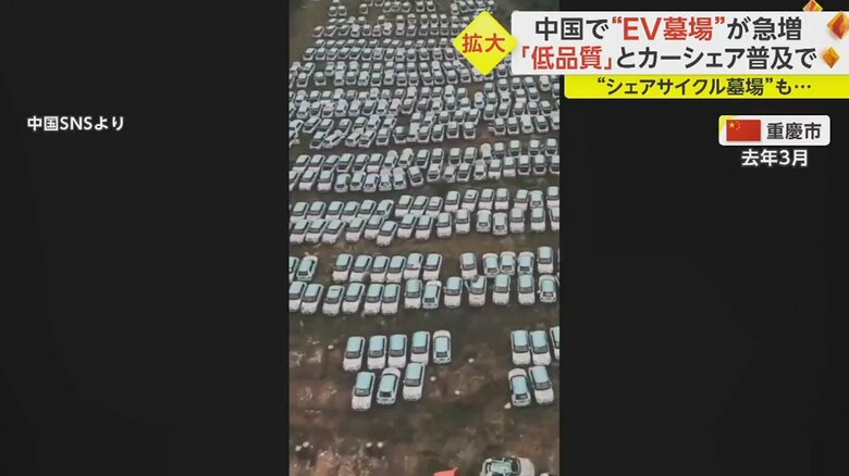 敷地を埋め尽くすEVの屋根はすべて水色