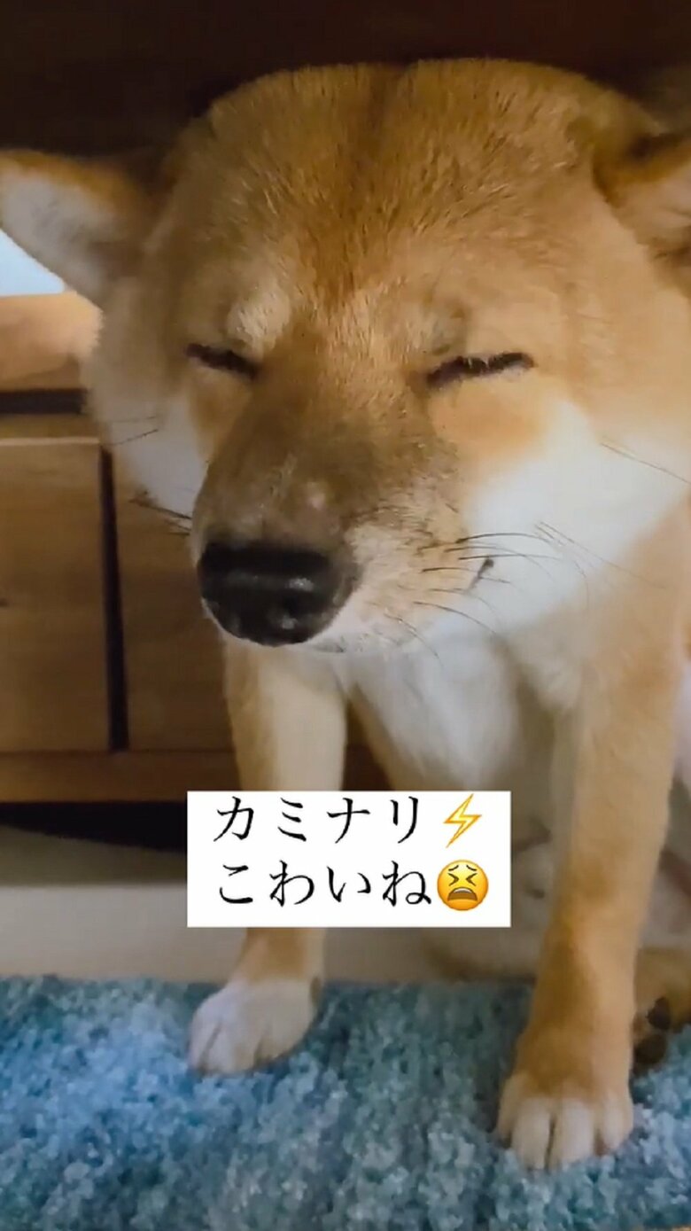ダメだ…