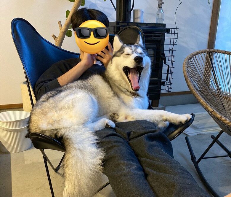 パパさんとのんびり