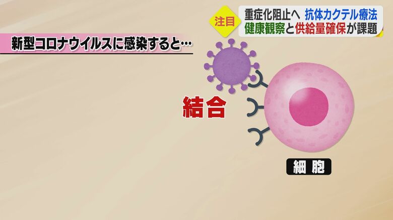 コロナ感染を図説