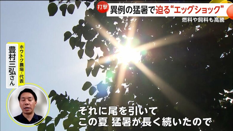 異例の猛暑などで生産が落ち込んでいるという卵